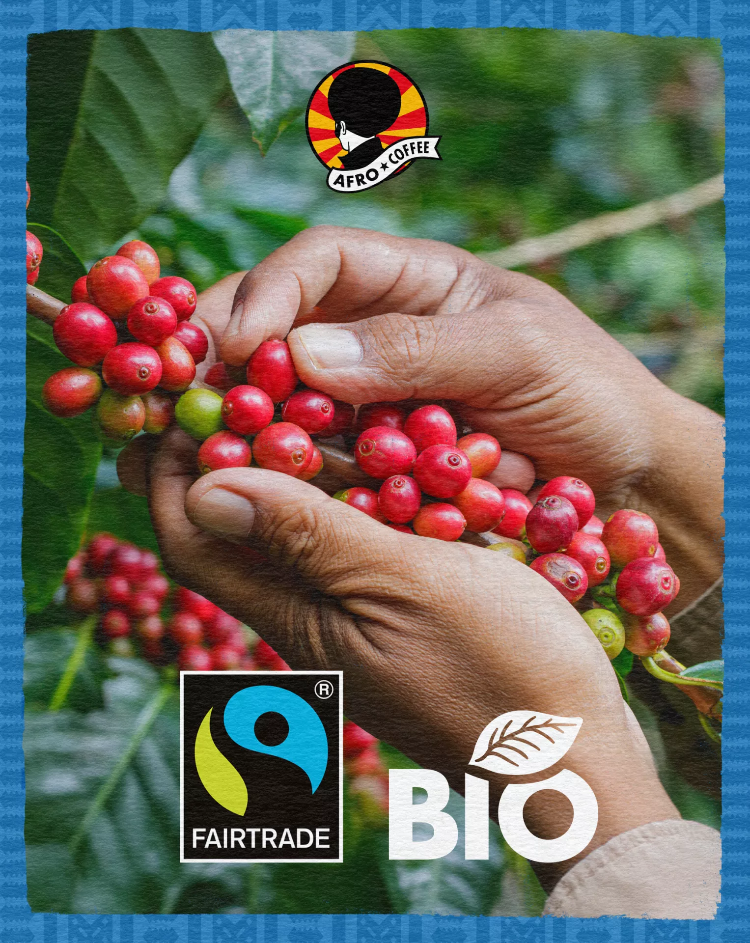 Mild & Aromatic DECAF Kaffeekapseln, Bio, Fairtrade 10 Stück